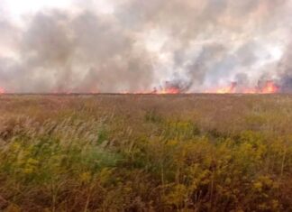 В окупованій “Асканія-Нова” горів заповідний степ
