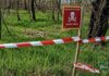 На Херсонщині для ведення лісового господарства доступні лише 2000 га масивів