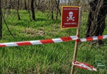 На Херсонщині для ведення лісового господарства доступні лише 2000 га масивів