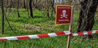 На Херсонщині для ведення лісового господарства доступні лише 2000 га масивів